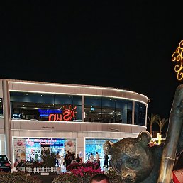, 41, 