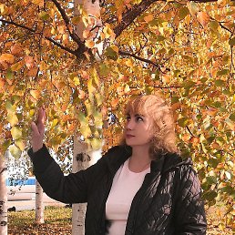 ��������, �������������