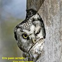 ���� ,Dmitri, �����, 52 ���� - ��������� 19 ������� 2023