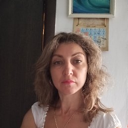 ���� ����, ������, 41 ��� - ��������� 29 ������ 2025