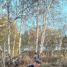 ������, 45 ���, ��������