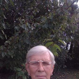 ���� ���������, �������, 63 ���� - ��������� 26 ������ 2023