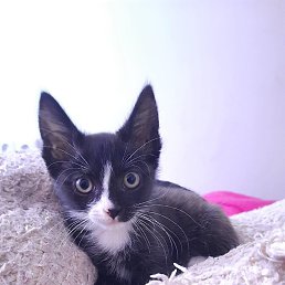 ���� ���, �������, 38 ��� - ��������� 23 ������� 2023