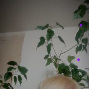  , 37 , 