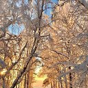 ���� �������, ������ - ��������� 1 ������� 2026 � ������ ������ ��������