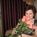 ���� �������, �����, 54 ���� - ��������� 28 ���� 2026 � ������ ���� ����������