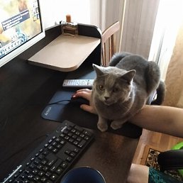 �������, ������, 32 ����