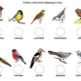 �����, ������, 31 ���