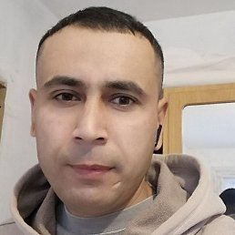 ����, �����-���������, 37 ���