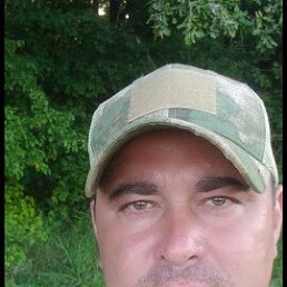 , 44, 