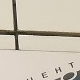 ����, ������ ��������, 62 ����