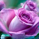 ���� Kari, ���� - ��������� 31 ����� 2025