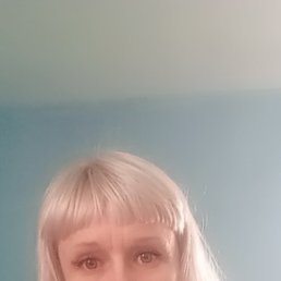 ���� �����, �����, 45 ��� - ��������� 8 ������ 2026