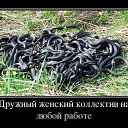 ���� ������, ������-��-����, 54 ���� - ��������� 8 ������ 2025 � ������ ������ ��������