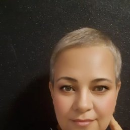 ���� ������, ���������, 49 ��� - ��������� 13 ������ 2024