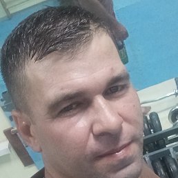 �������, �����-���������, 37 ���