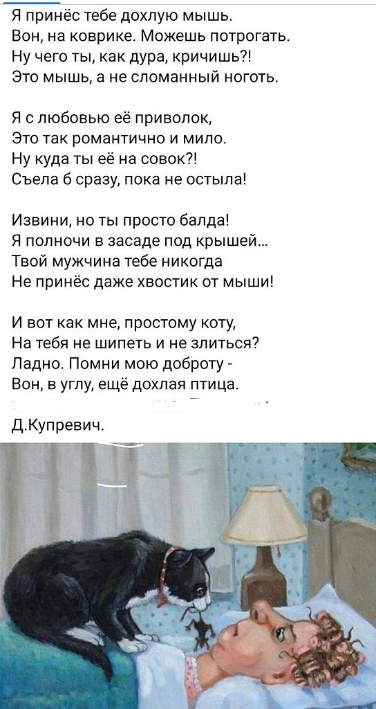   - 18  2024  00:52