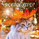 ���� ������, ��������, 44 ���� - ��������� 30 ������� 2023 � ������ ���� ����������