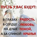 ���� ����, ������������, 43 ���� - ��������� 9 ���� 2026 � ������ ���� ����������