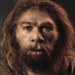 ���, ����, 36 ���