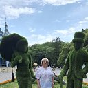 ���� ������, ���������� - ��������� 14 ��� 2026