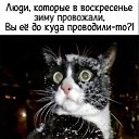 ���� �����, ������ ����� - ��������� 7 ����� 2026 � ������ ������ ��������