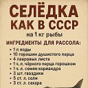 ���� �����, �������, 52 ���� - ��������� 6 ������� 2025 � ������ ������ ��������