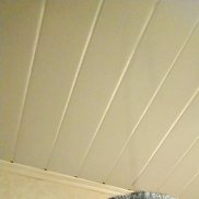 ������, 44 ����, ������