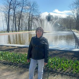 �����, �������, 47 ���