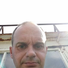 , 44, 