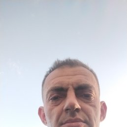 , 41, 