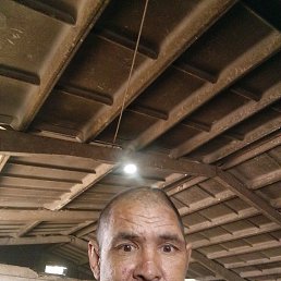 ���� ����� ������, ������, 48 ��� - ��������� 17 ���� 2024