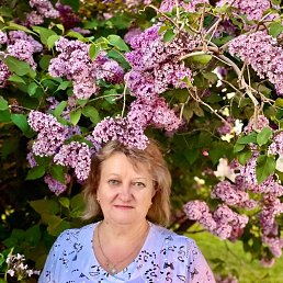 ���� �, ����, 59 ��� - ��������� 5 ������ 2026