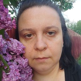 ������, ������, 41 ���