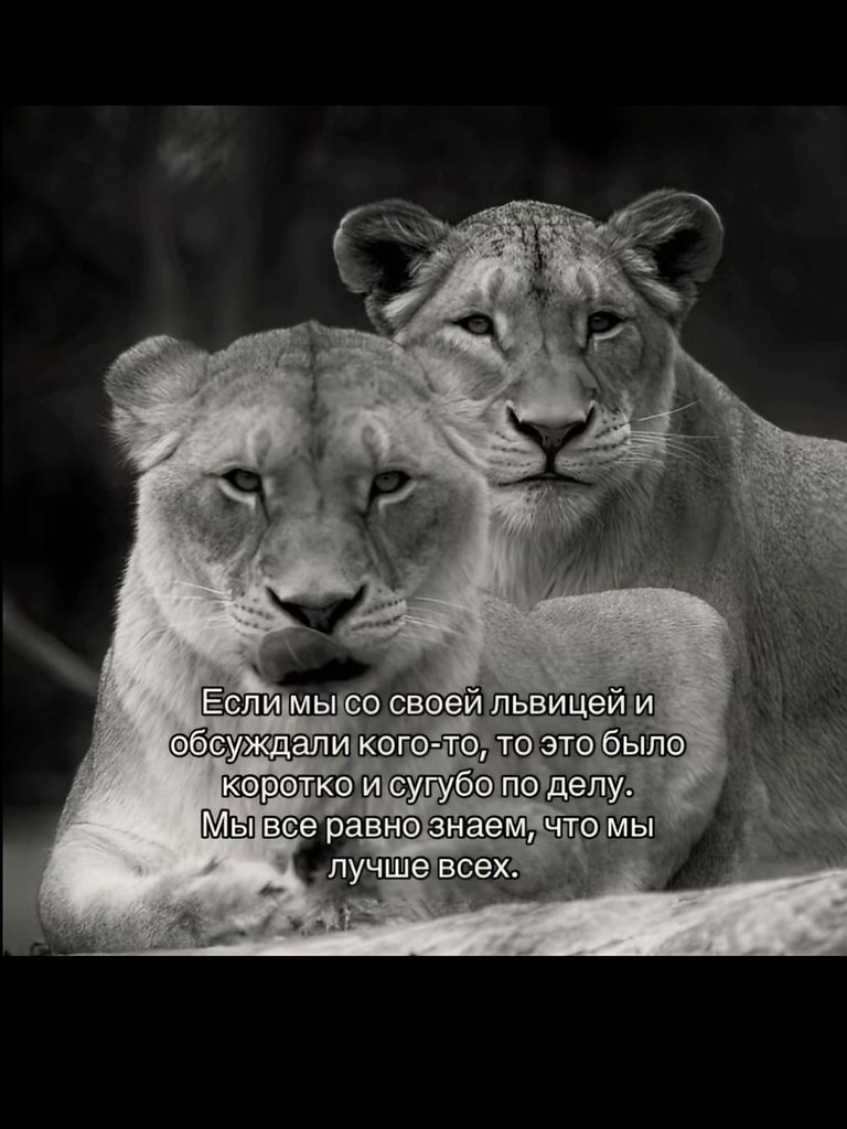 . - 9  2025  11:50 - 2