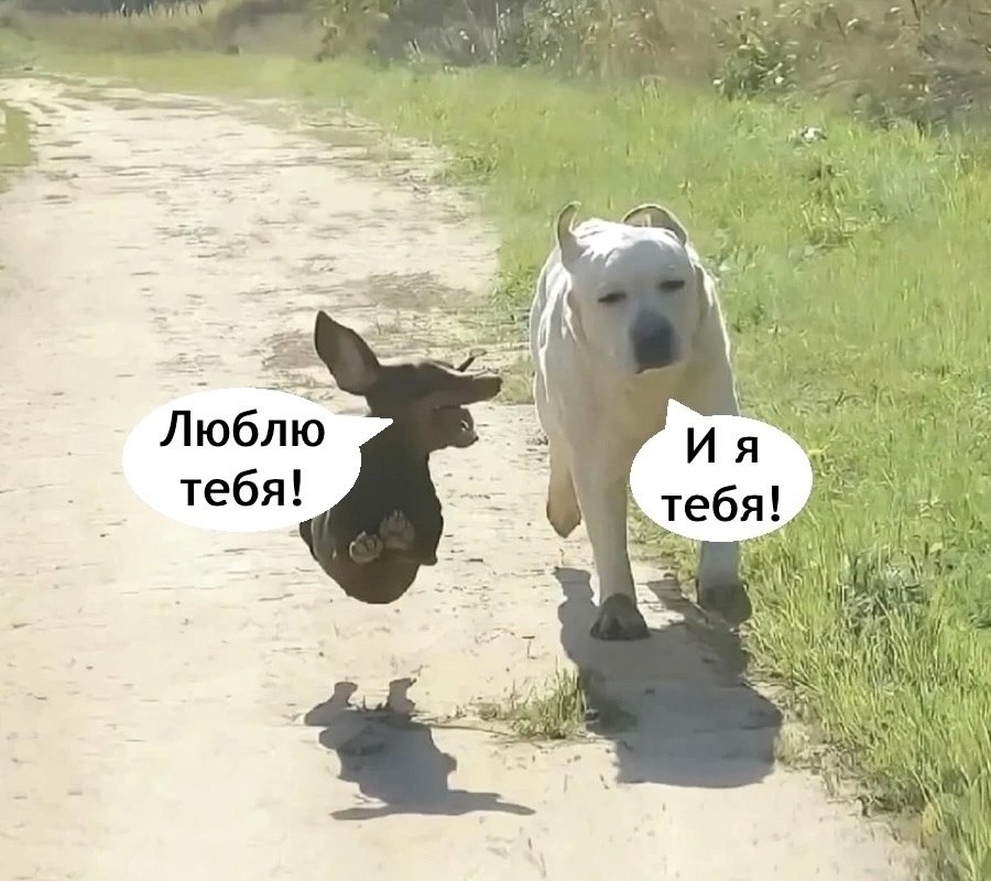 Мужики поймут. Мы на все готовы для наших любимых девочек! - 6