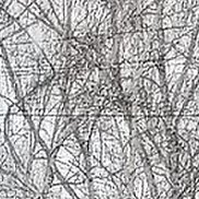 ���������, 56 ���, ������