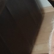 Artem, 60 ���, ���������-��-�����