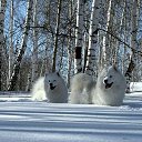 ���� ����, ������, 48 ��� - ��������� 14 ������ 2026 � ������ ���� ����������