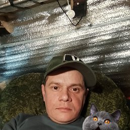 , 38, 