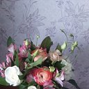 ���� ����, ������, 61 ��� - ��������� 10 ������ 2024 � ������ ���� ����������