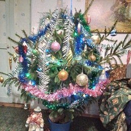 ���� ������� ��������, ������, 71 ��� - ��������� 9 ������ 2026