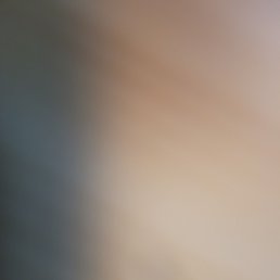 ����, ��������, 38 ���