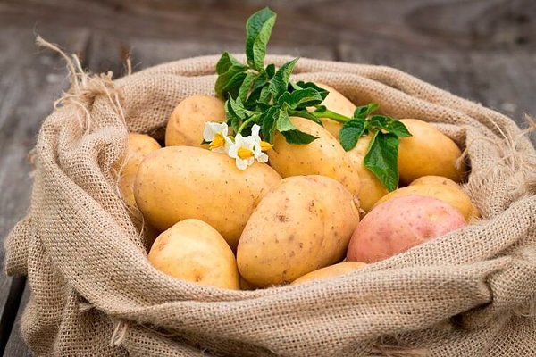 Польза картофеля для сердца. Богат фосфором и калием. В день достаточно съедать всего 300 гр. чтобы ...