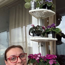 ���� ����, ����, 50 ��� - ��������� 13 �������� 2026
