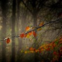 ���� ��������, �����, 39 ��� - ��������� 19 ������ 2025 � ������ ���� ����������