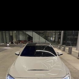 ��������, �����-���������, 23 ����