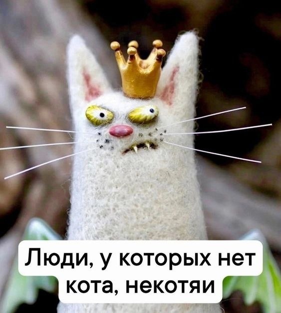  - 14  2025  17:02
