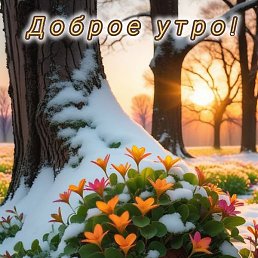 ������, ������������