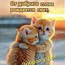 ���� ����������� �����, ������, 69 ��� - ��������� 17 ������� 2026 � ������ ���� ����������
